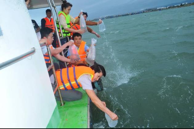 Phú Yên thả hơn 1 triệu con tôm sú giống tái tạo nguồn lợi thủy sản